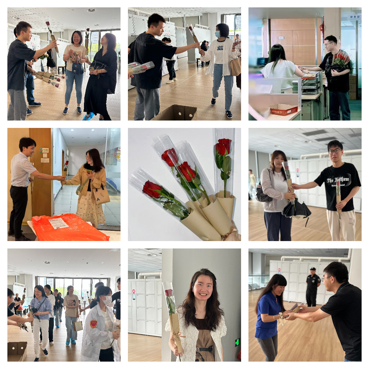 以玫瑰之名，致敬每一個發(fā)光的你(圖2)